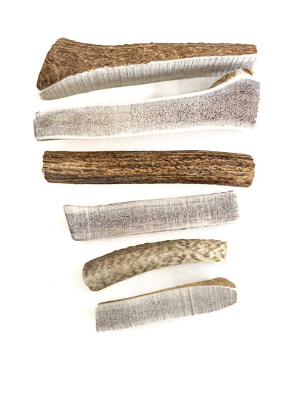 Elk Antler Chews