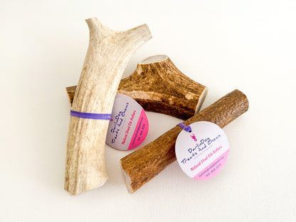 Elk Antler Chews
