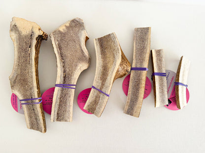 Elk Antler Chews