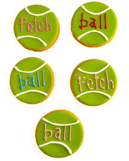 Custom Decorated Icing Treats