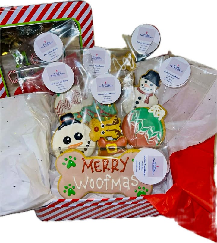 Vanilla Icing Biscuits Box #1